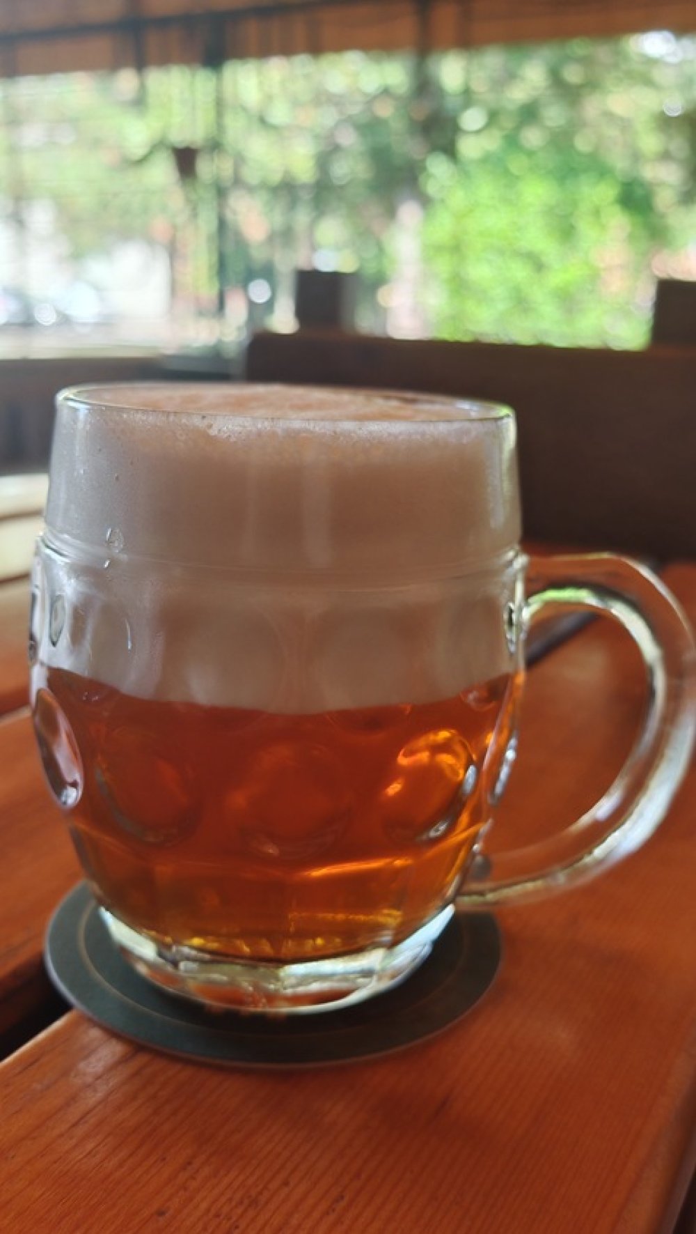 Nachmelená opice IPA