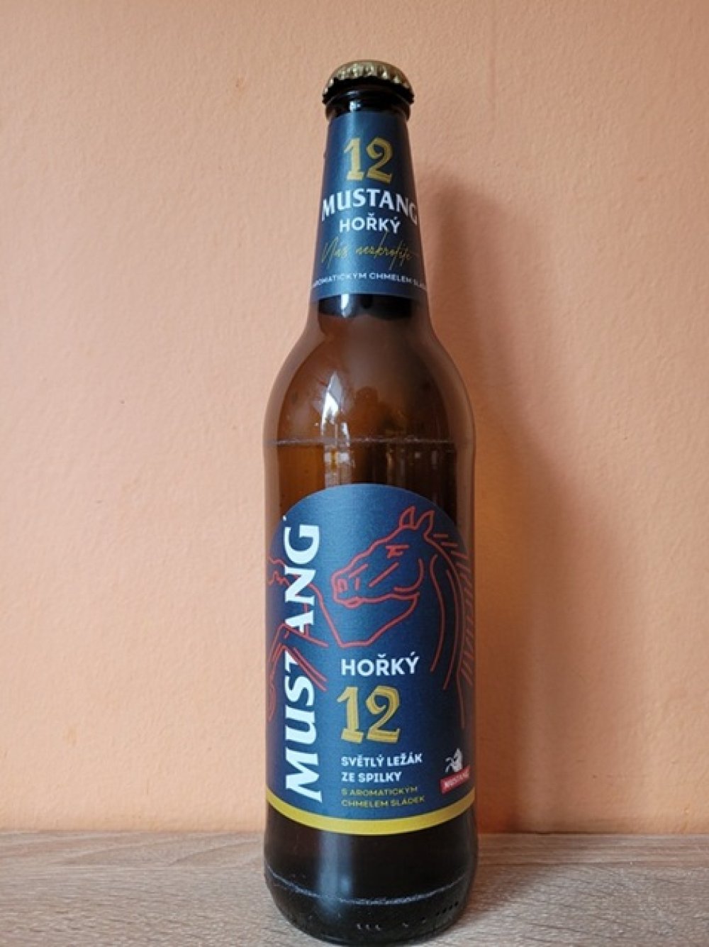Mustang Hořký
